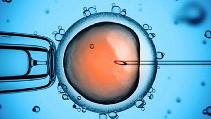 精子库精子怎么收费（2024年精子库收费吗）