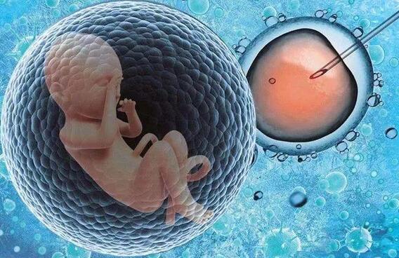 移植冻胚的成功率是多少+帮别人代生孩子多少钱冻胚成功率是多少