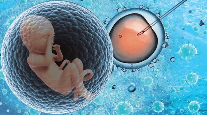 2024年哪些国家可以允许单身女性供卵代怀代生婴儿(费用需要多少)